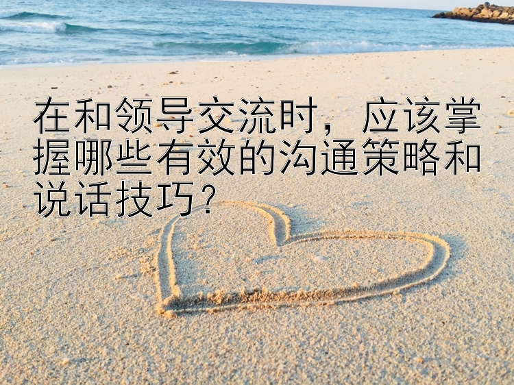 在和领导交流时，应该掌握哪些有效的沟通策略和说话技巧？