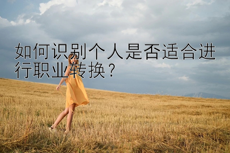 如何识别个人是否适合进行职业转换？